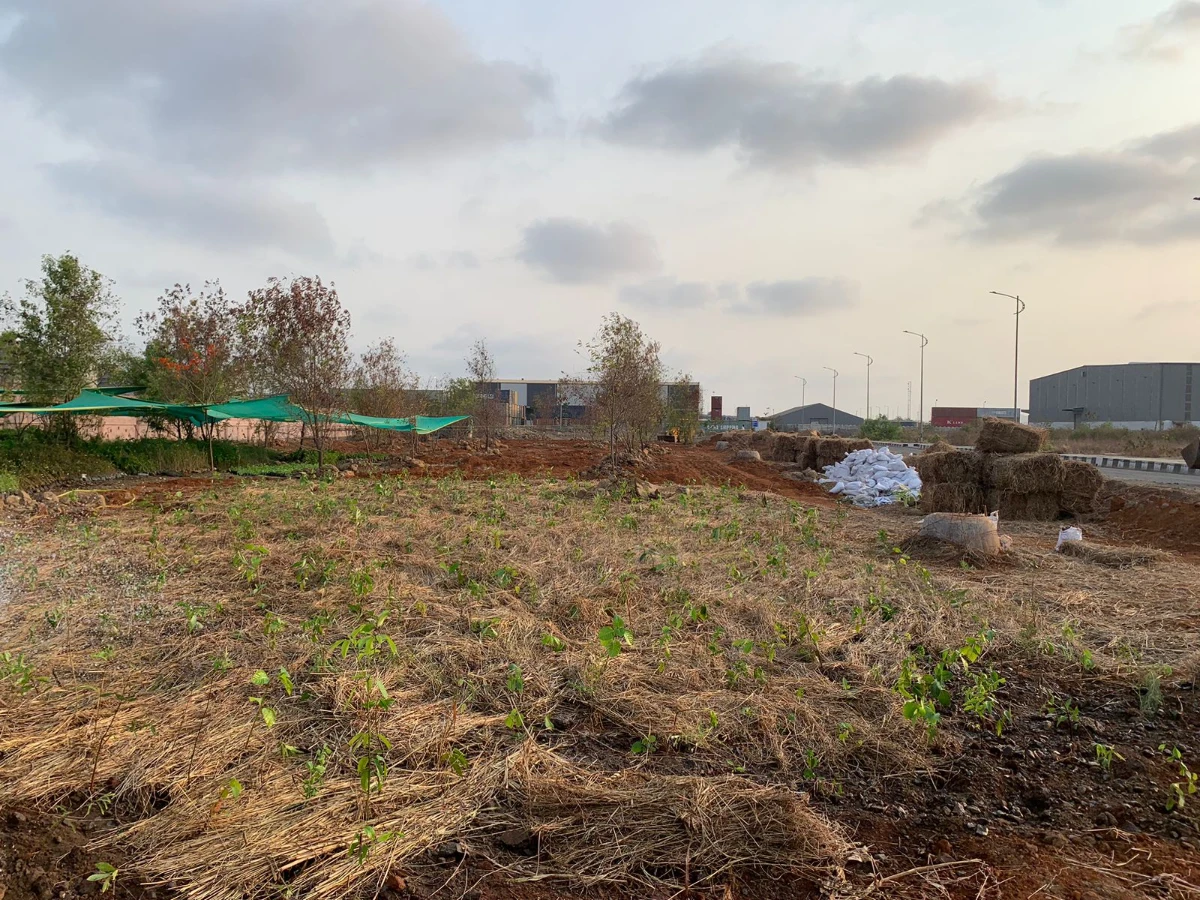 WhatsApp Image 2024-05-23 at 6.29.51 PM