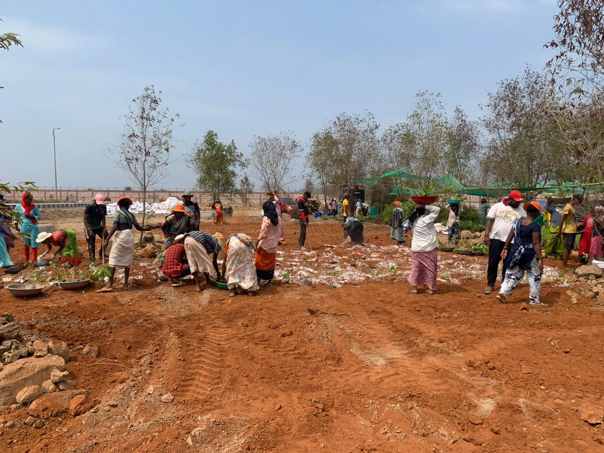 WhatsApp Image 2024-05-23 at 6.33.15 PM