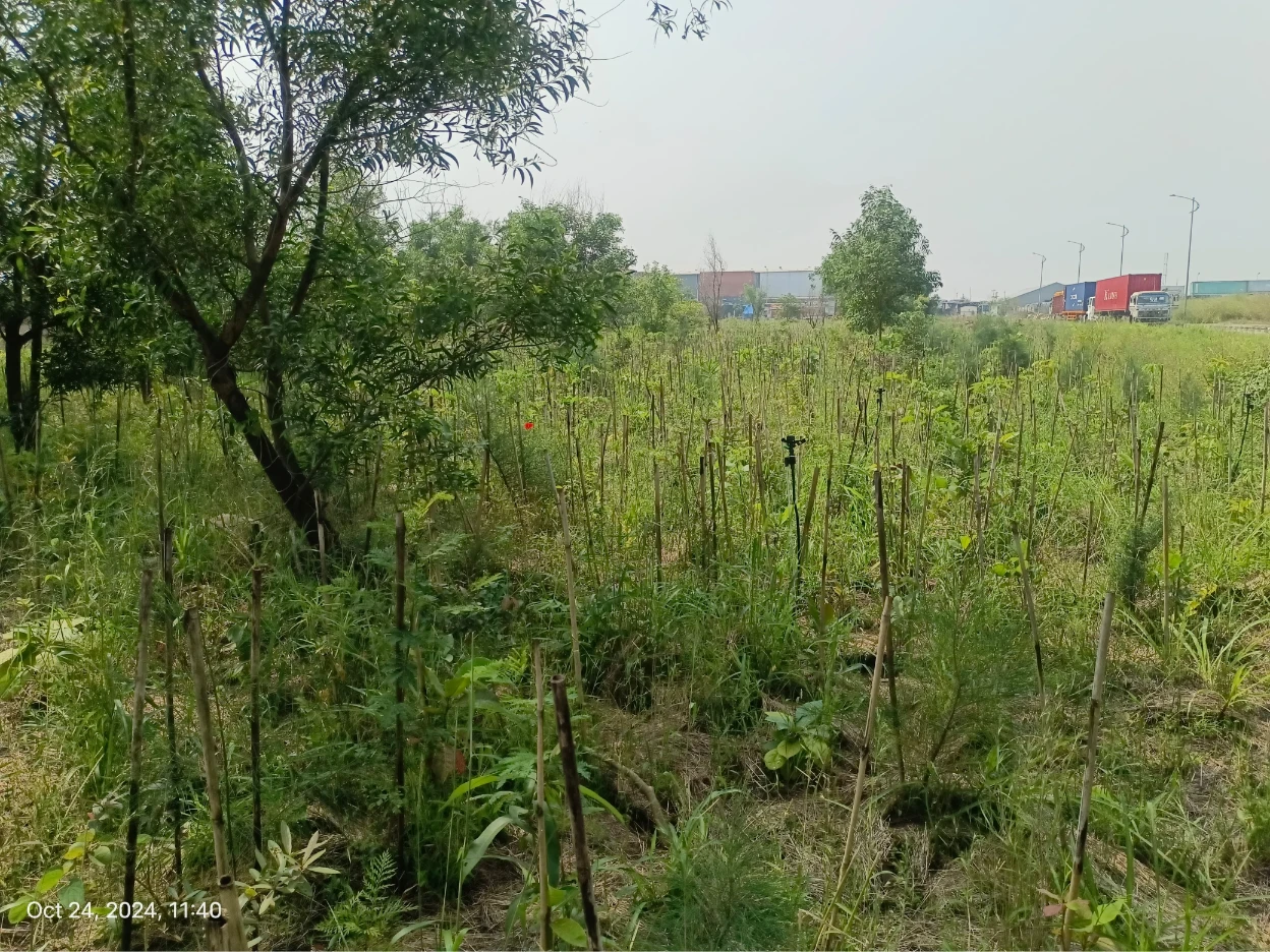 WhatsApp Image 2024-10-24 at 12.34.23 PM