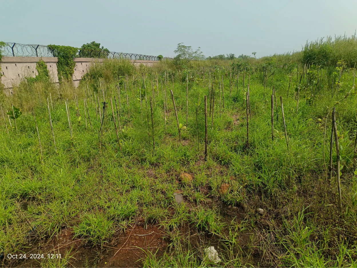 WhatsApp Image 2024-10-24 at 12.34.24 PM (2)